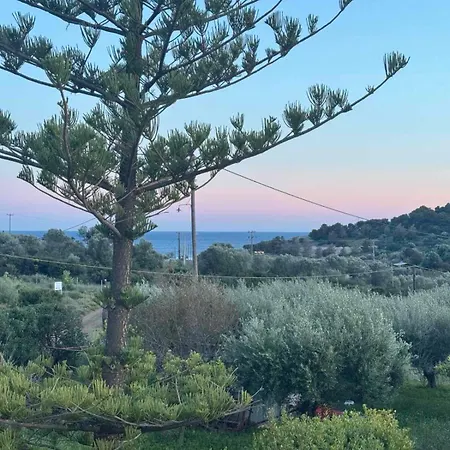 Felicity Seaside Retreat Ermioni Exterior photo